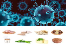 List of 5 Best Foods That Cure Coronavirus