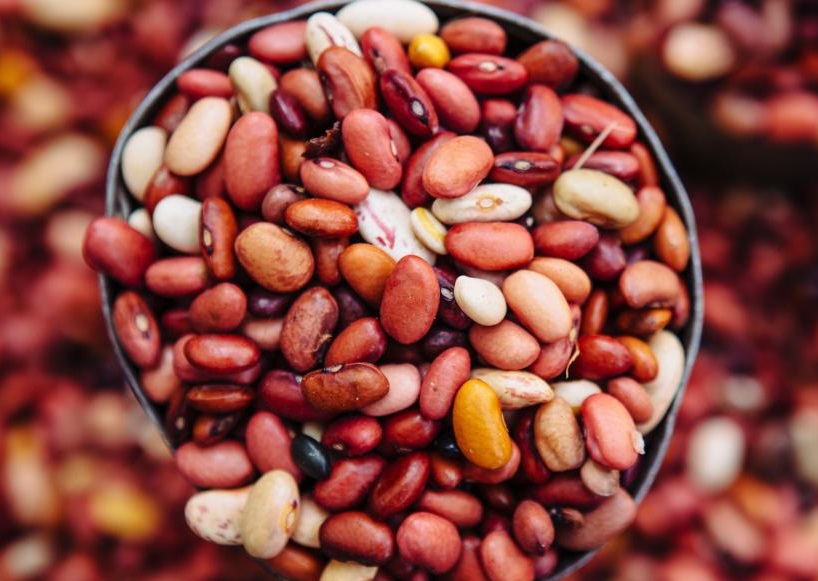 Beans, fresh beans, beans for health, beans for coronavirus