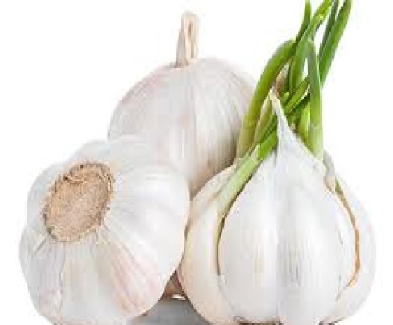 Garlic Garlic contains allicin which serves as one basic component for fighting infections inside the body