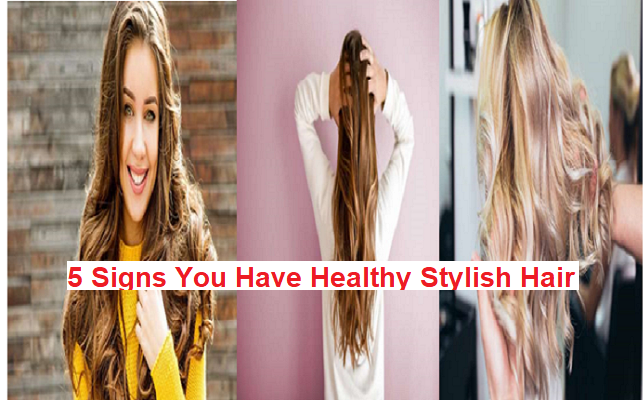 Best 6 Signs You Have Healthy Stylish Hair In 2020
